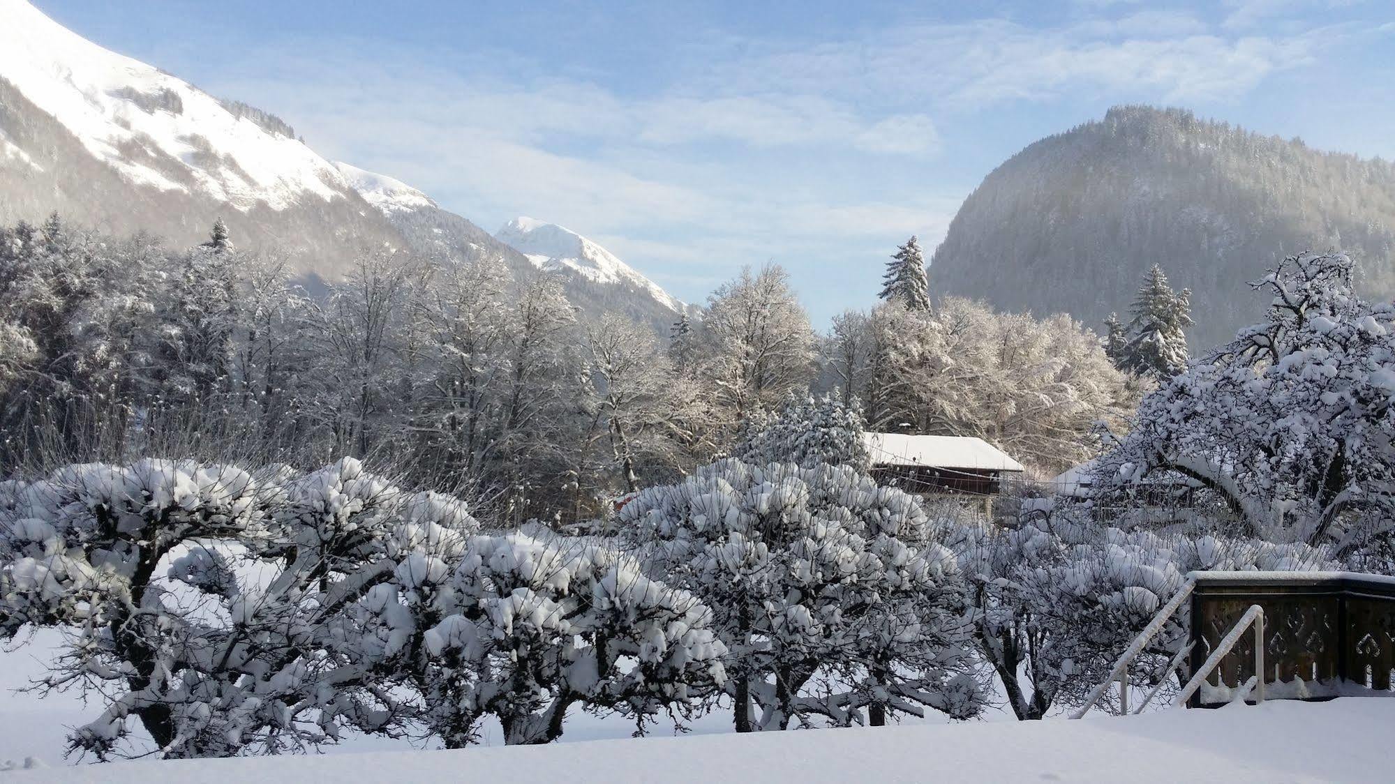 Hotel Les Fleurs Montriond Eksteriør bilde